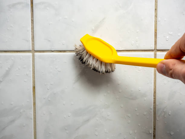 Best Same-Day Mold Removal  in Chandler, AZ